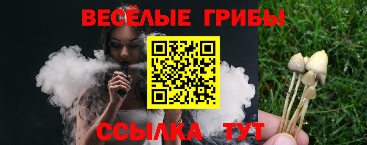 закладка  Вход с VPN  Куйбышев  Псилоцибиновые грибы MAGIC MUSHROOMS 